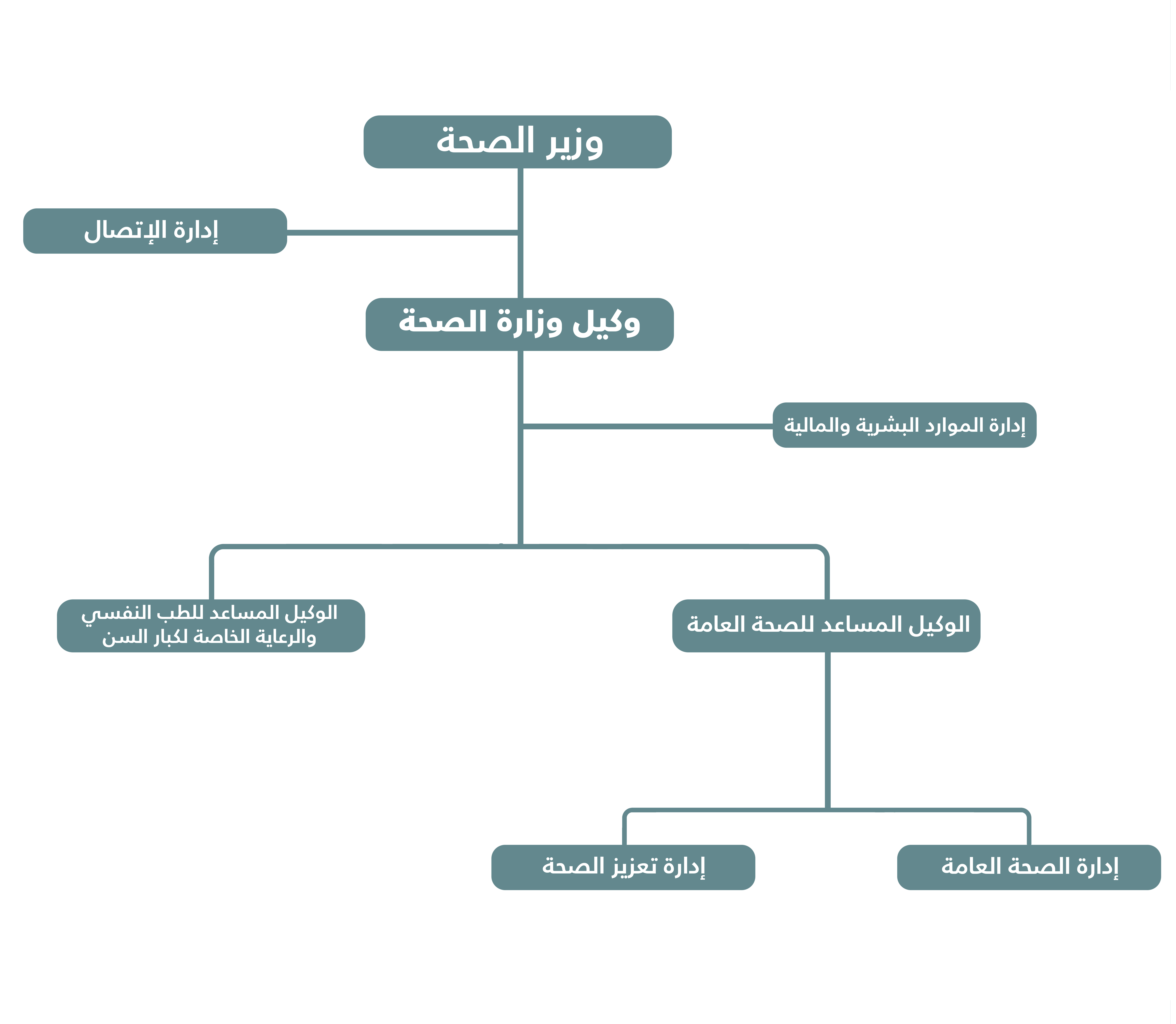 الهيكل التنظيمي