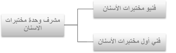 الهيكل التنظيمي