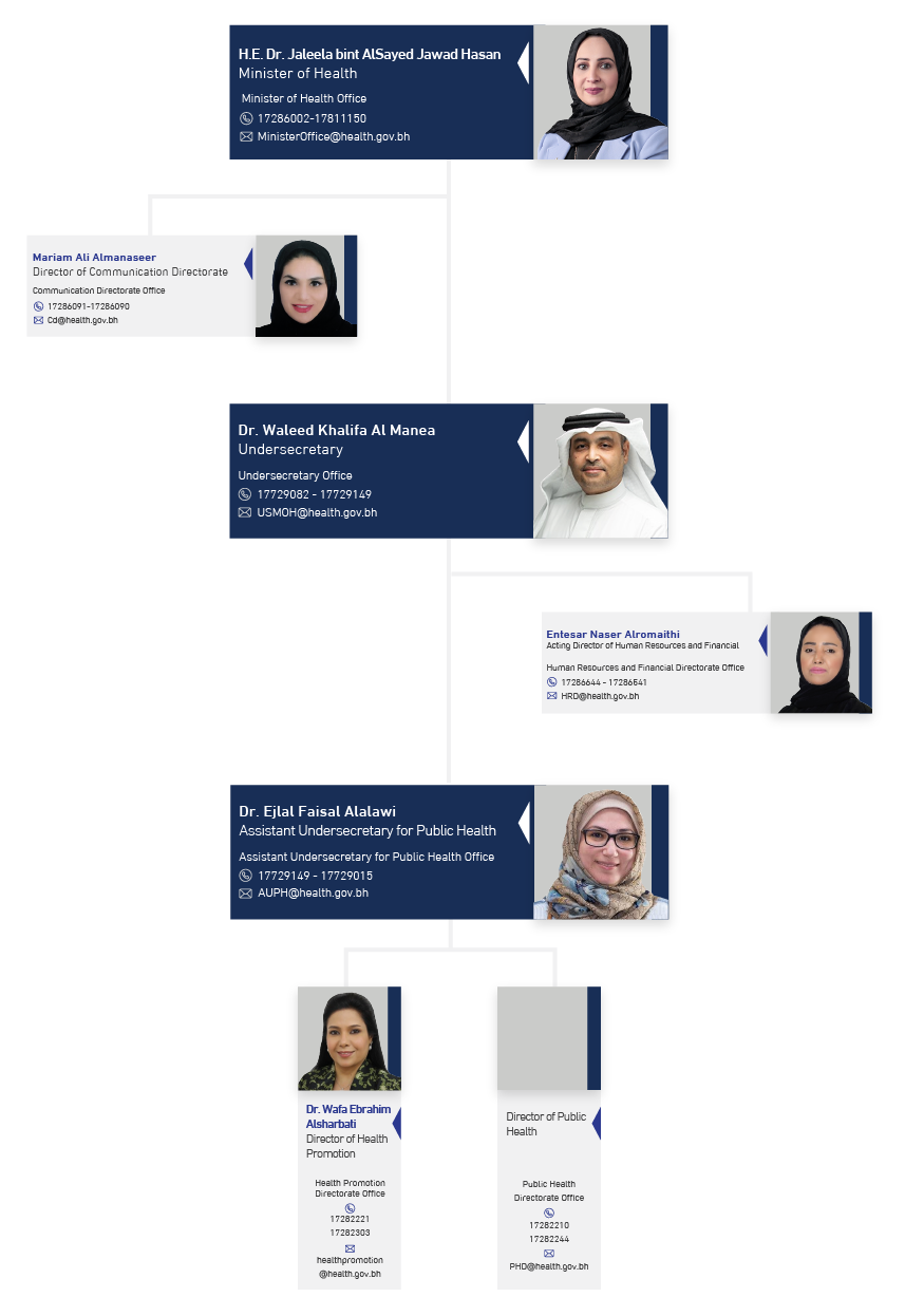 MOH ORGANIZATIONAL STRUCTURE visual data 8